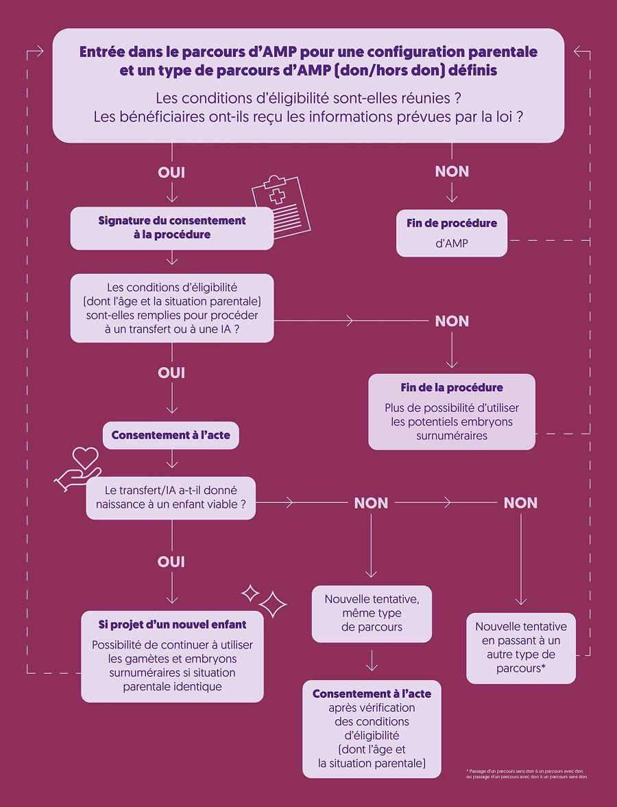 infographie consentement procréation médicale